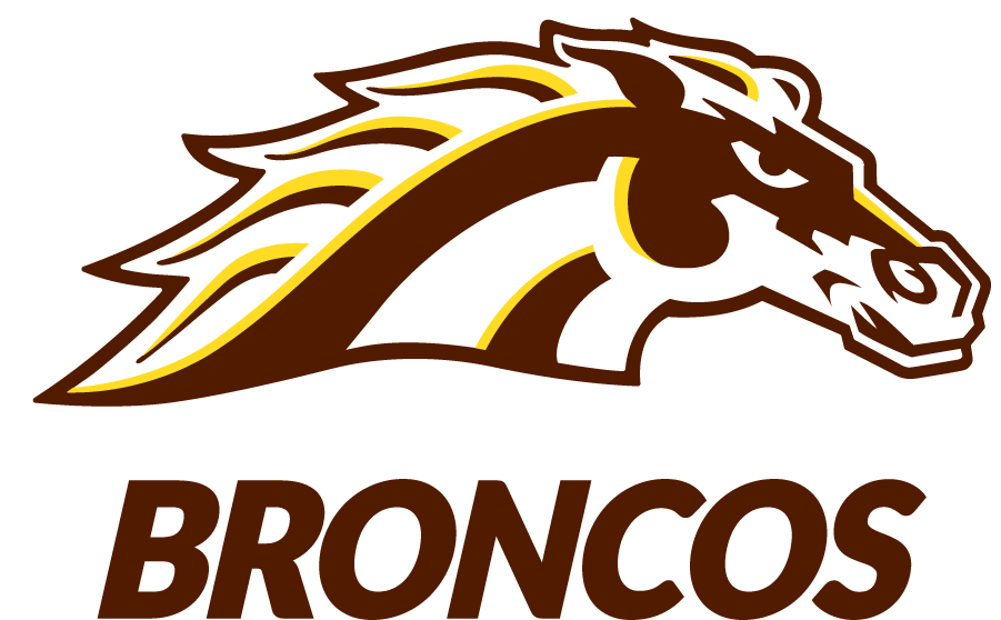 Western Michigan Broncos 2021-Pres Secondary Logo v4 diy DTF decal sticker